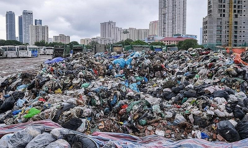 8 đô thị tại Việt Nam tham gia chương trình Đô thị Giảm Nhựa của WWF