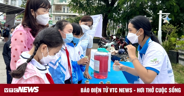 Trường học giảm nhựa tại Cù Lao Chàm