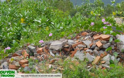 Phú Yên: Xử lý hành vi đổ chất thải rắn xây dựng không đúng nơi quy định.