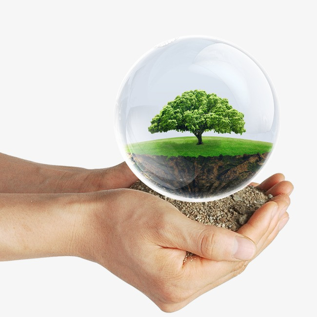 Ảnh bảo vệ môi trường sống với bàn tay và cây xanh tươi tốt.