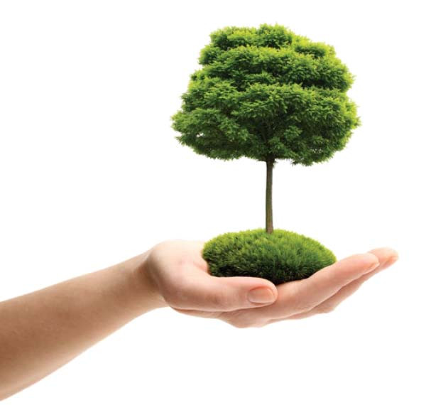 Ảnh bảo vệ môi trường với biểu tượng bàn tay và mầm cây