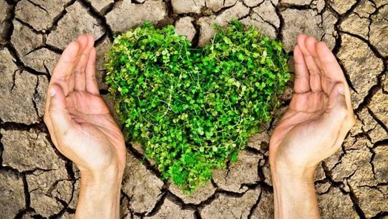 Ảnh biểu trưng về bảo vệ môi trường, sự cân bằng của tự nhiên