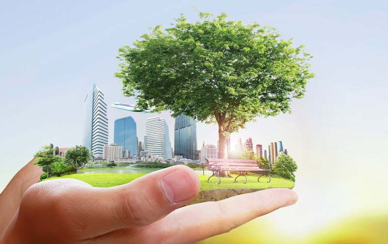 Ảnh đẹp bảo vệ môi trường với thông điệp "Protect Our Earth"