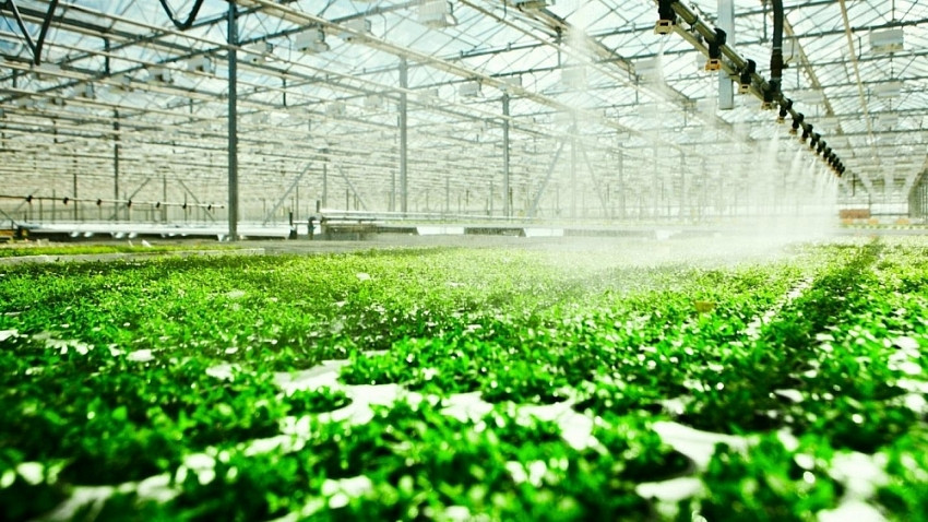Áp dụng nông nghiệp xanh bền vững là biện pháp bảo vệ môi trường nước khỏi hóa chất độc hại và xói mòn đất