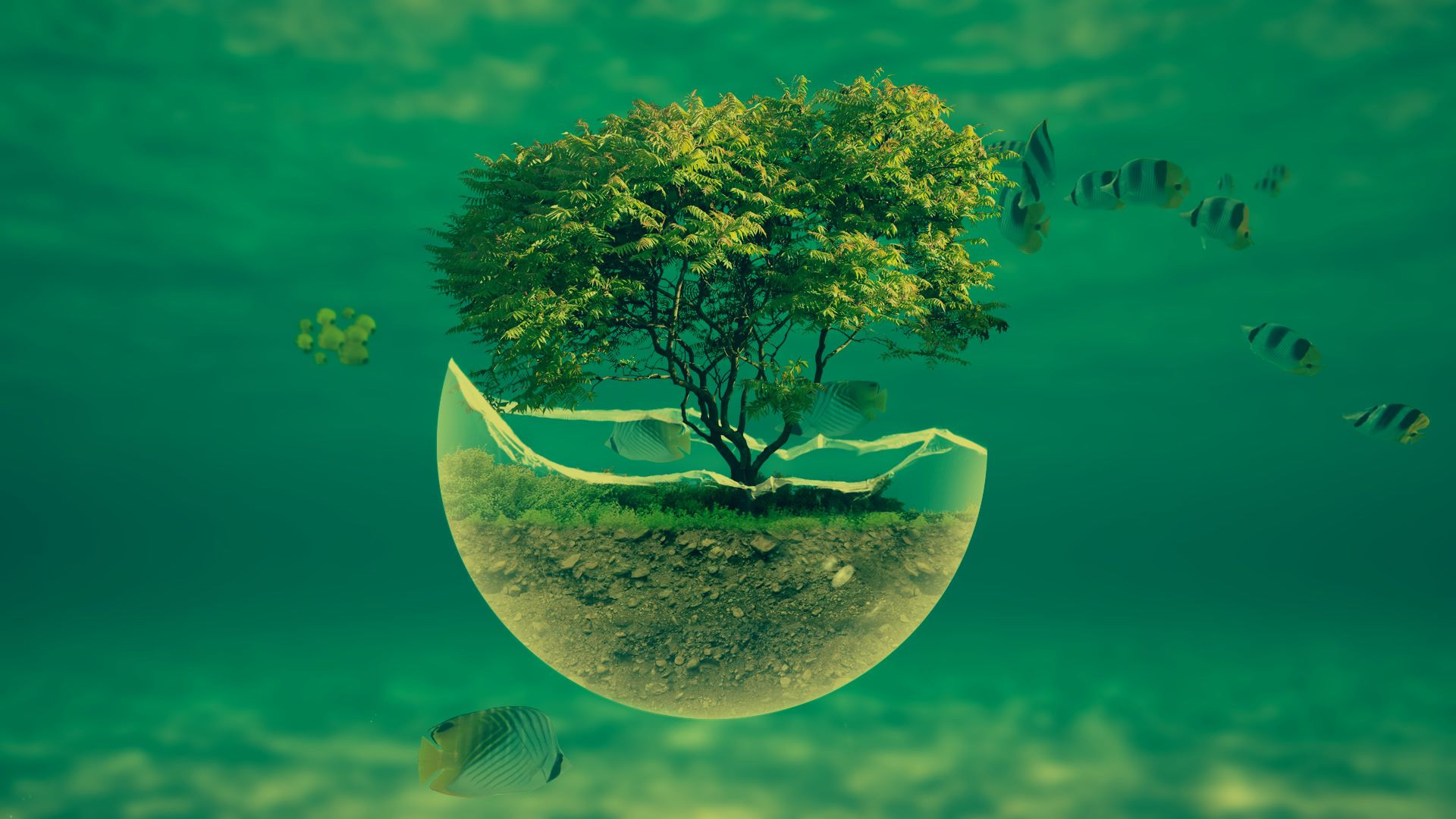 Background bảo vệ môi trường với hình ảnh bàn tay đỡ cây xanh