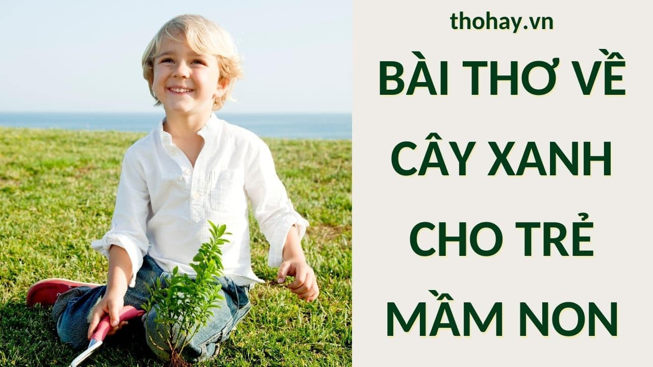 Bài thơ về cây xanh cho trẻ mầm non gợi sự yêu thiên nhiên từ nhỏ