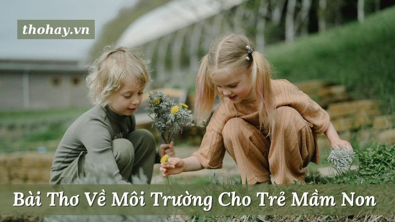 Bài thơ về môi trường cho trẻ mầm non giáo dục tình yêu thiên nhiên từ sớm