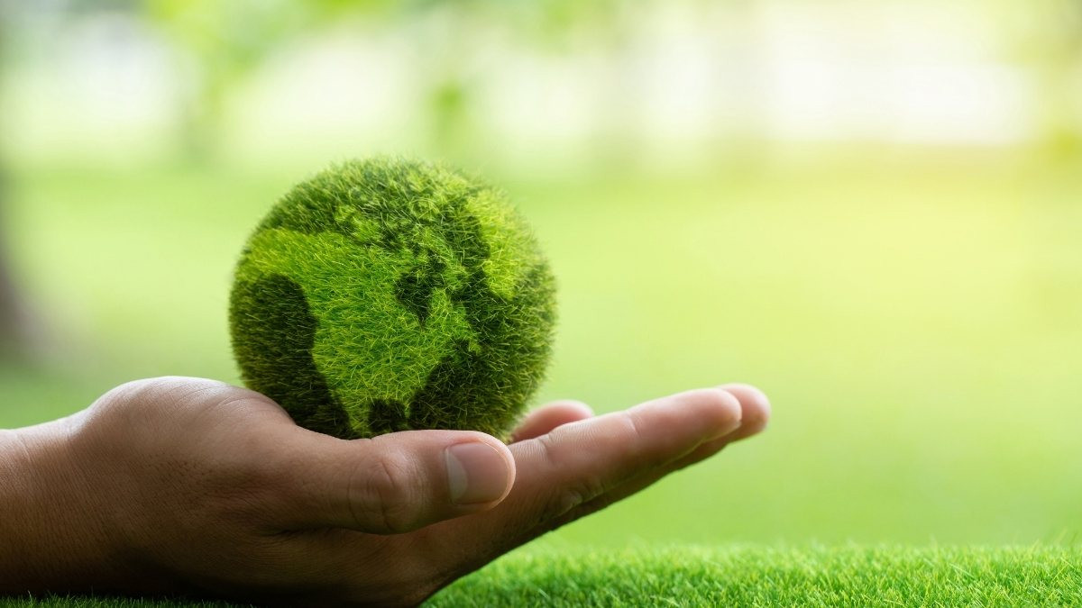 Bản đồ thế giới với hình ảnh lá cây xanh, thể hiện sự kết nối toàn cầu trong các nỗ lực vì nền bảo vệ môi trường.