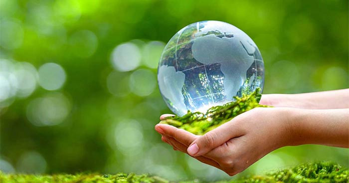 Bàn tay nâng đỡ một cây non trên nền đất khô cằn, tượng trưng cho hy vọng và sự sống mới trong công cuộc bảo vệ môi trường.