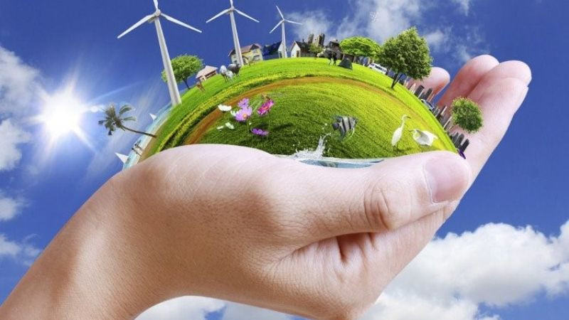 Bàn tay nâng niu cây xanh trên nền quả địa cầu, biểu tượng cho việc bảo vệ môi trường sống bền vững.
