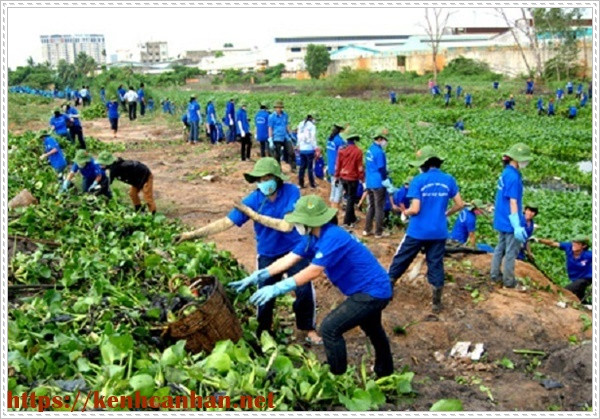 bảo vệ môi trường chống lại ô nhiễm môi trường