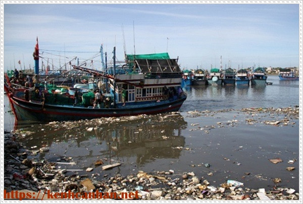 bảo vệ môi trường nước bị ô nhiễm