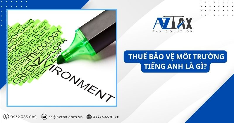 Bảo vệ môi trường tiếng anh là gì: Hiểu rõ Environmental Protection