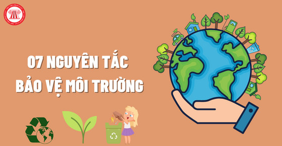 Bảy nguyên tắc bảo vệ môi trường toàn diện theo quy định pháp luật