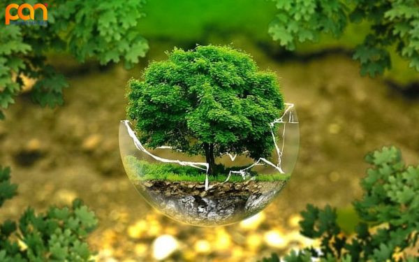 Biểu đồ các loại phí bảo vệ môi trường áp dụng tại Việt Nam và vai trò trong giảm thiểu ô nhiễm