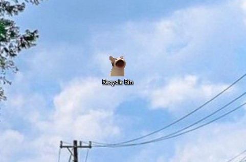 Biểu tượng thùng rác hình mèo sau khi thay đổi thành công