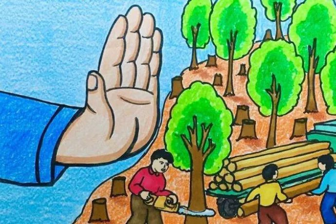 Bức tranh ngăn chặn hành vi chặt phá rừng bừa bãi, bảo vệ lá phổi xanh của hành tinh