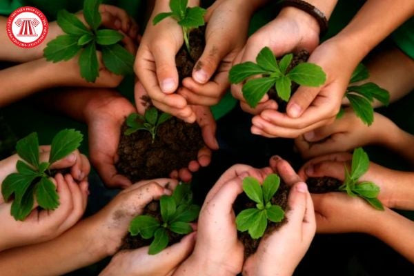Các hoạt động bảo vệ môi trường và trồng cây xanh