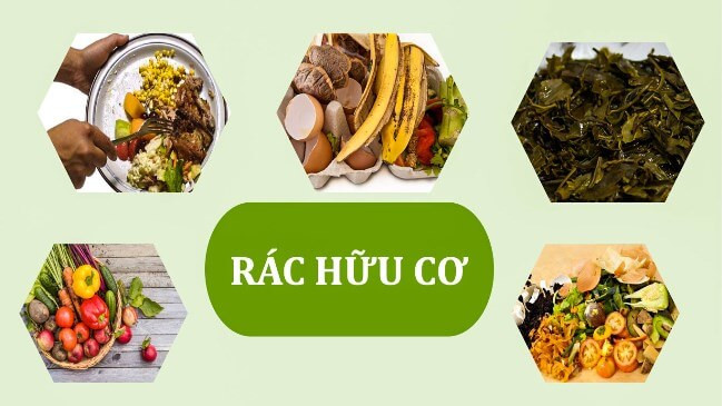 Các loại rác thải hữu cơ