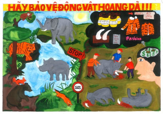Cách vẽ tranh bảo vệ môi trường: Tranh mẫu bảo vệ động vật quý hiếm