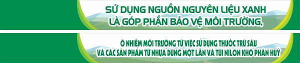 Cận cảnh in ấn băng rôn bảo vệ môi trường