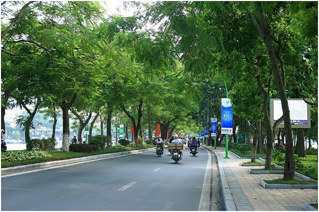 Cây xanh đô thị giúp giảm thiểu ô nhiễm không khí