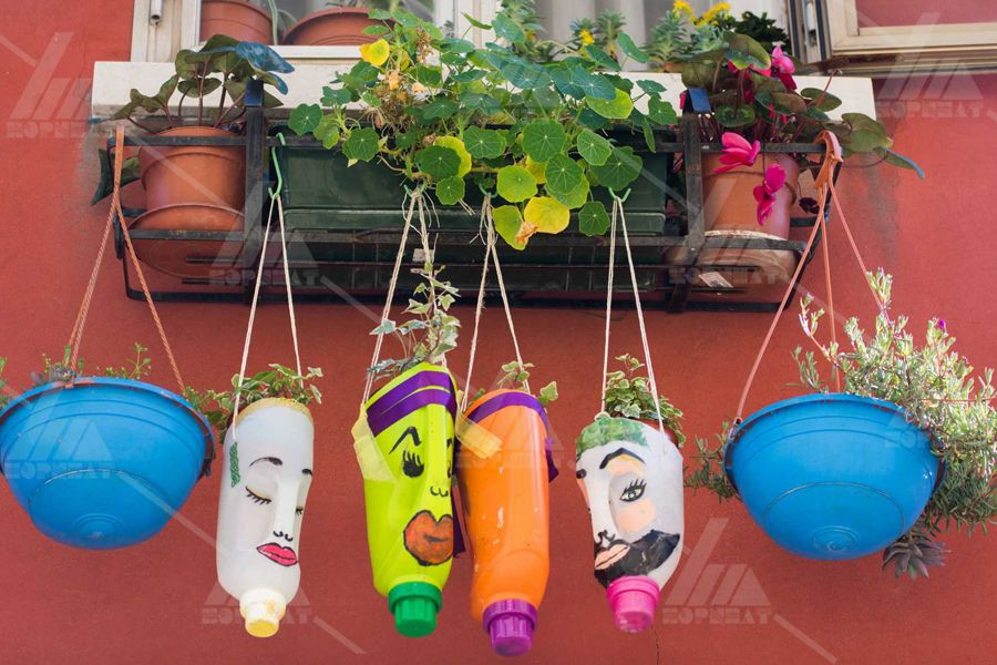 Chai nhựa làm chậu trồng cây