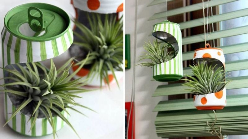Chậu cây mini làm từ lon nước ngọt được trang trí màu xanh