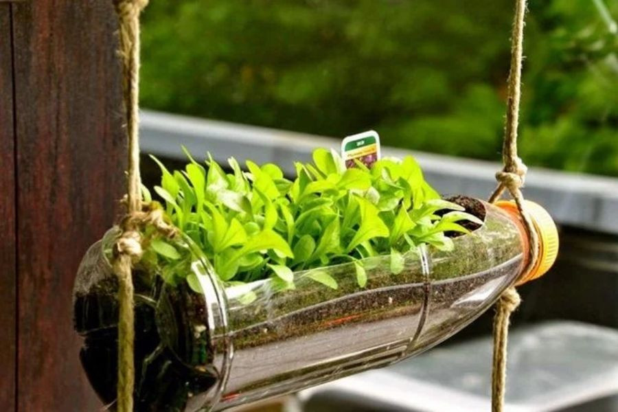 Chậu cây nằm ngang sáng tạo từ chai nhựa tái chế đẹp, phù hợp trồng rau mini