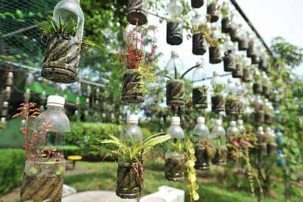 chậu hoa tái chế từ chai nhựa treo tường, tạo không gian xanh