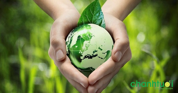 Con người và thiên nhiên chung tay hành động bảo vệ môi trường sống