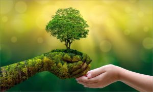 Cộng đồng chung tay bảo vệ môi trường, minh chứng cho trách nhiệm xã hội