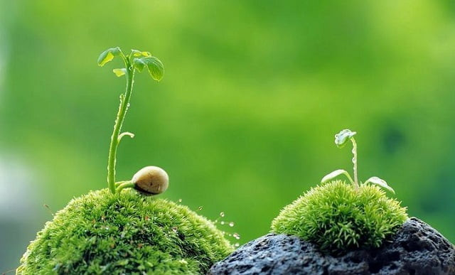 Cộng đồng cùng chung tay hành động bảo vệ môi trường, góp phần giảm thiểu ô nhiễm và xây dựng tương lai bền vững