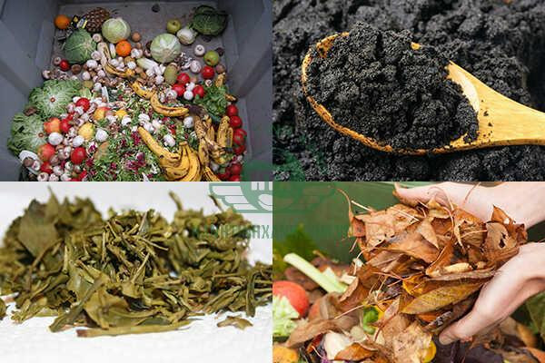Đa dạng các loại rác thải hữu cơ như thức ăn thừa, bã cà phê, bã trà, lá cây rụng, vỏ trái cây từ sinh hoạt