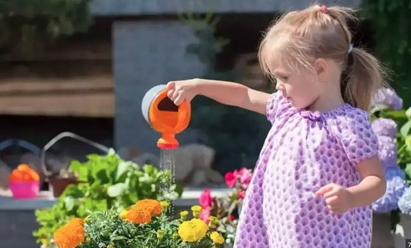 Dạy trẻ cách chăm sóc vườn cây xanh tại nhà để nâng cao ý thức môi trường