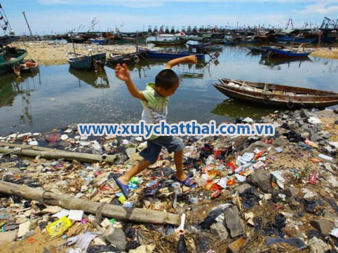 Hậu quả nặng nề của rác thải công nghiệp và sinh hoạt do con người gây ra cho môi trường biển