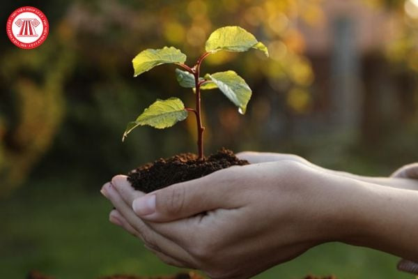 Hiện trạng môi trường ô nhiễm nghiêm trọng và các nỗ lực bảo vệ môi trường toàn cầu