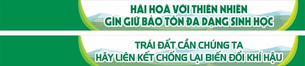Hình ảnh băng rôn bảo vệ môi trường với chủ đề tiết kiệm nước