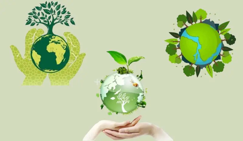 Hình ảnh cây xanh tươi tốt tượng trưng cho rừng nguyên sinh và nỗ lực bảo vệ môi trường sống, chống lại nạn phá rừng và biến đổi khí hậu toàn cầu
