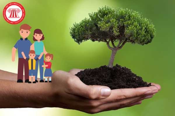 Hình ảnh minh họa về hành động bảo vệ môi trường, nhấn mạnh bảo vệ môi trường là trách nhiệm của mỗi cá nhân vì tương lai xanh bền vững.