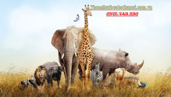 Hình ảnh tượng trưng cho sự bảo vệ động vật hoang dã, một trong những việc làm bảo vệ môi trường của học sinh quan trọng