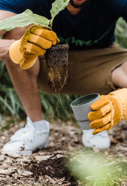 Hình ảnh tuyên truyền trồng cây bảo vệ môi trường