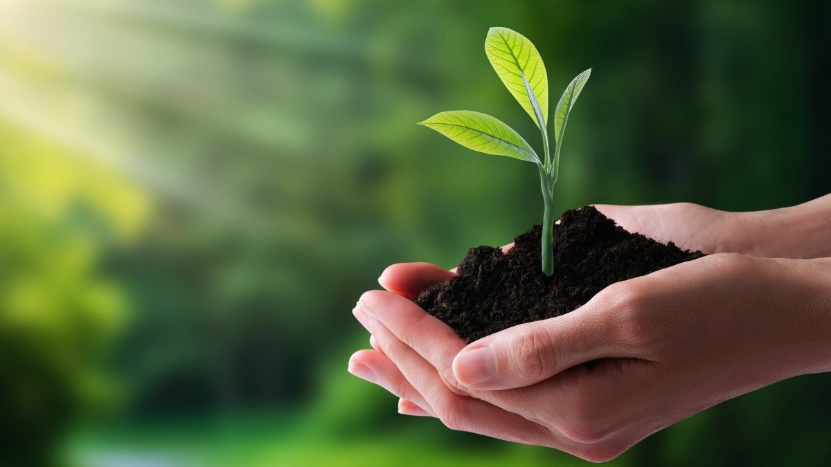 Hình nền bảo vệ môi trường đẹp nhất thể hiện thông điệp tái chế
