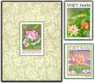 Hoa sen trong môi trường tự nhiên, tỏa hương thơm ngát và tượng trưng cho sự thanh lọc môi trường.