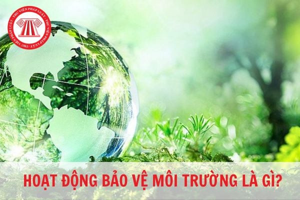 Hoạt động bảo vệ môi trường là gì: Nỗ lực chung vì môi trường xanh