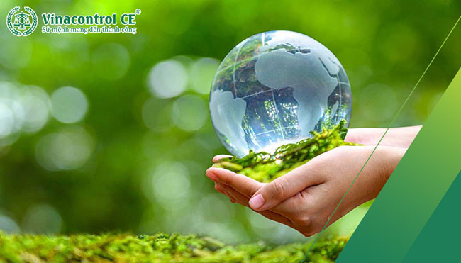 Hoạt động xử lý rác hữu cơ có tầm quan trọng vô cùng lớn trong việc bảo vệ môi trường