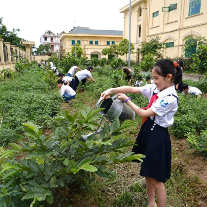 Học sinh chăm sóc cây xanh, một hành động đẹp trong những hình ảnh về bảo vệ môi trường