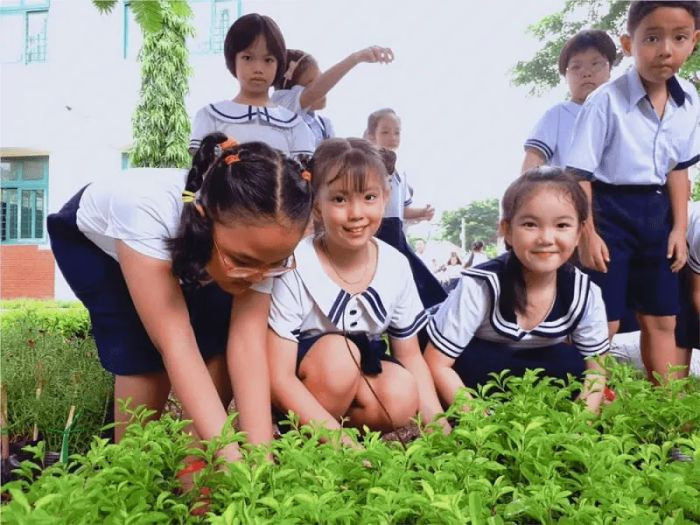 Học sinh chung tay làm sạch bãi biển, tạo nên những hình ảnh về bảo vệ môi trường đầy cảm xúc