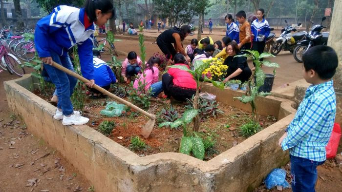 Học sinh cùng nhau dọn dẹp khuôn viên xanh, một hoạt động ý nghĩa trong những hình ảnh về bảo vệ môi trường