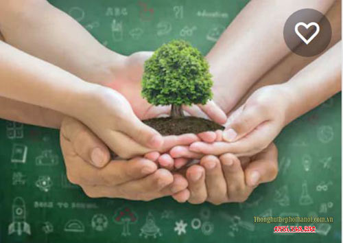 Học sinh cùng nhau trồng cây xanh, góp phần vào những việc làm bảo vệ môi trường của học sinh vì một hành tinh xanh